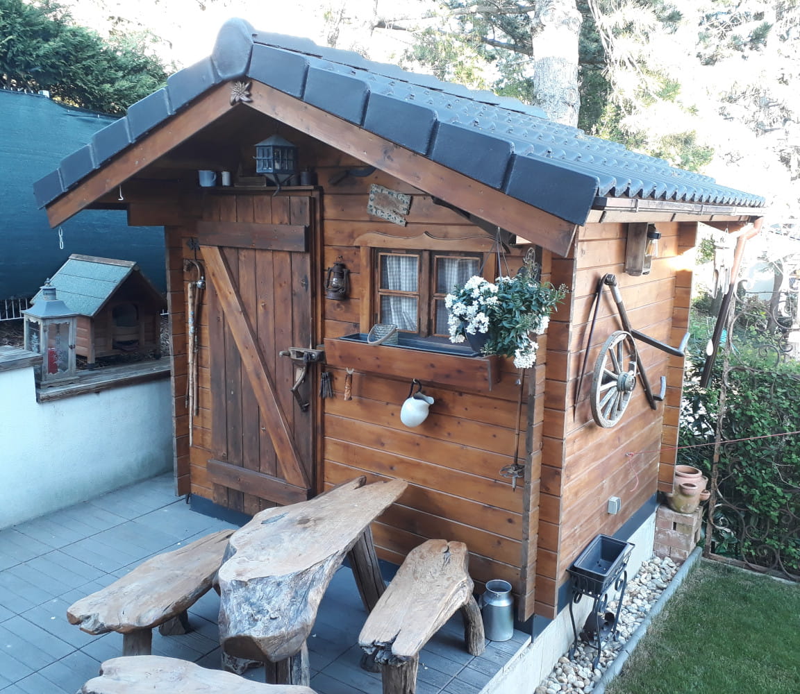 Celina-Satteldach 250x200-34